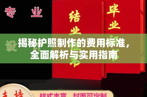 西城揭秘护照制作的费用标准，全面解析与实用指南